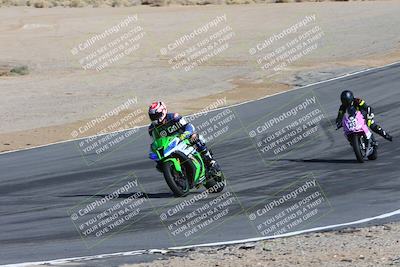 media/Feb-04-2024-SoCal Trackdays (Sun) [[91d6515b1d]]/4-Bowl Backside (11am)/
